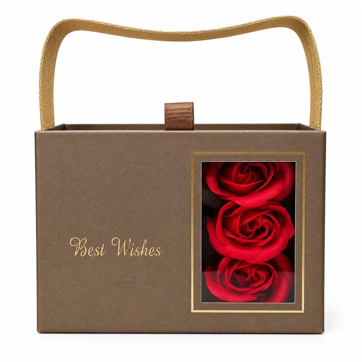 Estuche De Lujo