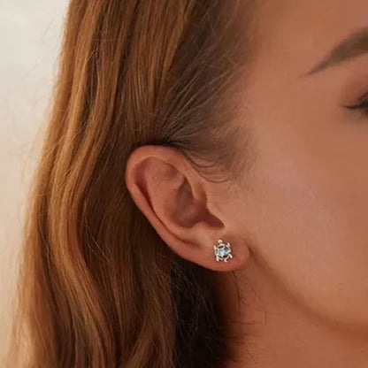 Aretes Tortugas